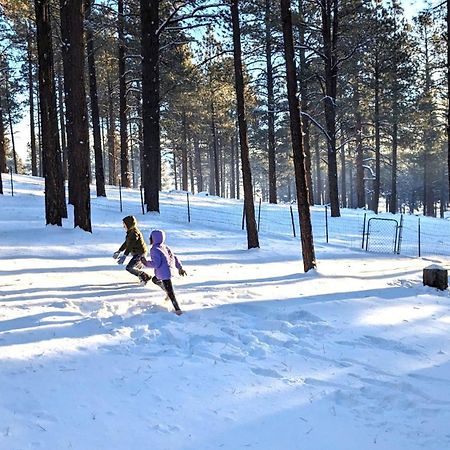 Close To Williams, Flagstaff, Grand Canyon And Sedona 외부 사진