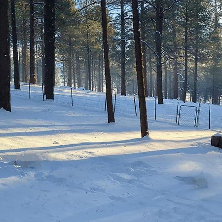 Close To Williams, Flagstaff, Grand Canyon And Sedona 외부 사진