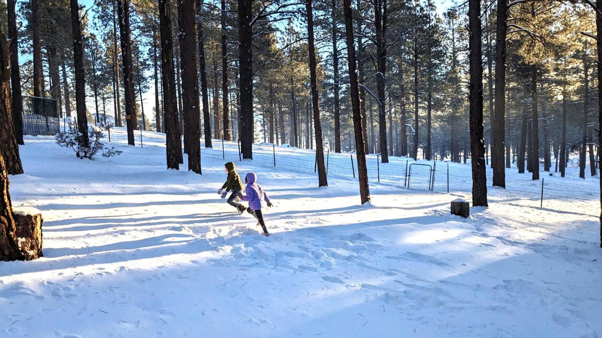 Close To Williams, Flagstaff, Grand Canyon And Sedona 외부 사진