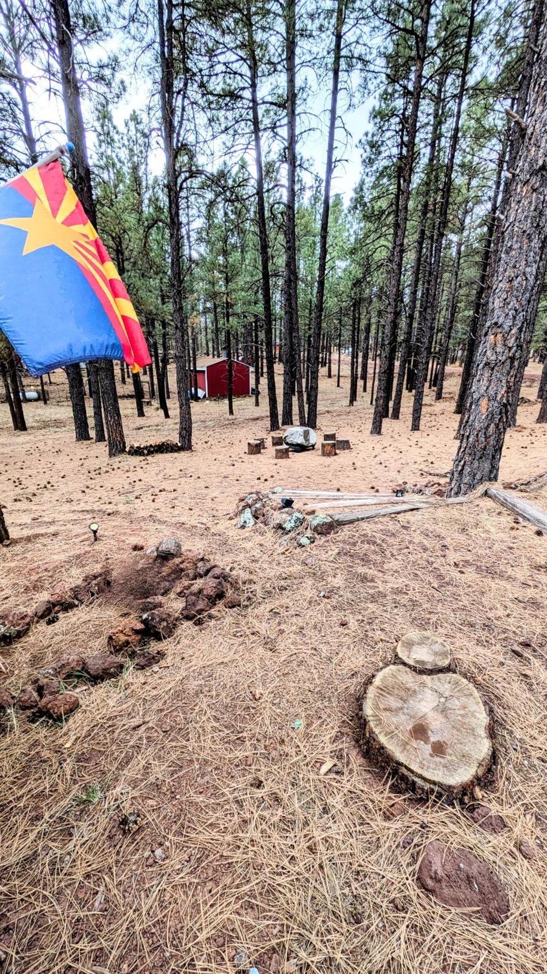 Close To Williams, Flagstaff, Grand Canyon And Sedona 외부 사진