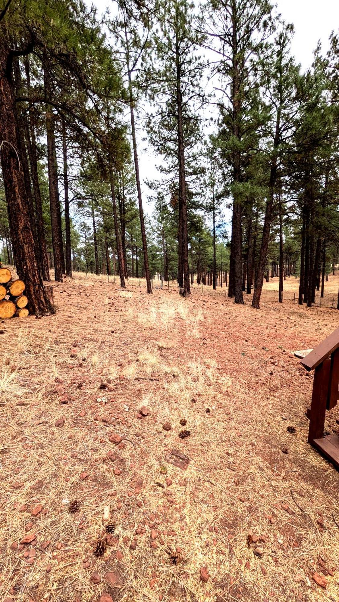 Close To Williams, Flagstaff, Grand Canyon And Sedona 외부 사진