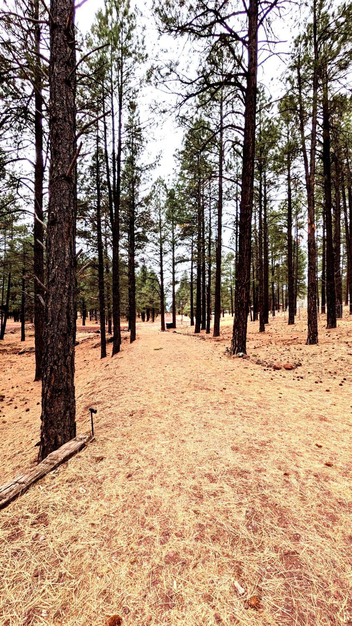 Close To Williams, Flagstaff, Grand Canyon And Sedona 외부 사진